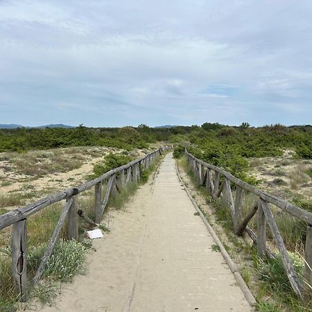 Il Mio Piccolo Angolo Di Mare فياريجيو المظهر الخارجي الصورة